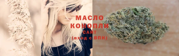 молекула духа Инта