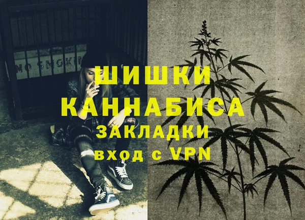 МДПВ Зеленодольск