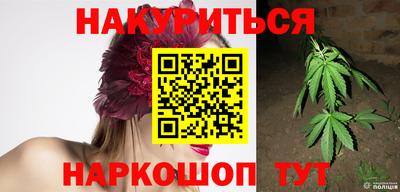 индика Краснознаменск