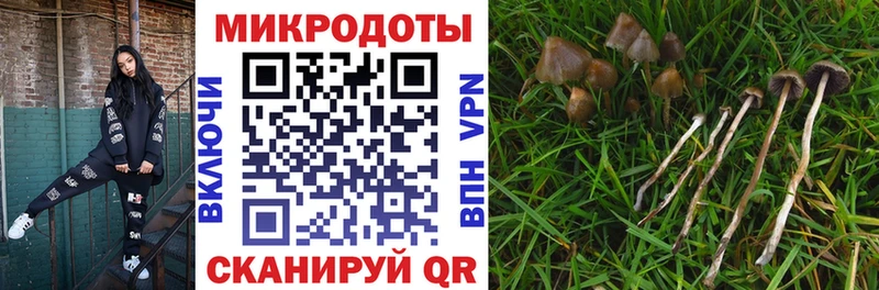 Псилоцибиновые грибы мухоморы  Кандалакша 
