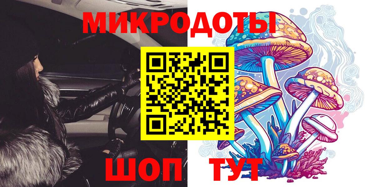 Кандалакша  Псилоцибиновые грибы прущие грибы  Вход с VPN  Псилоцибиновые грибы Magic Shrooms 