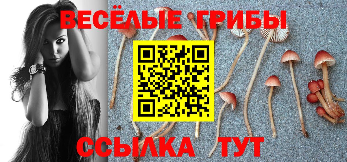 Галлюциногенные грибы мицелий Кандалакша